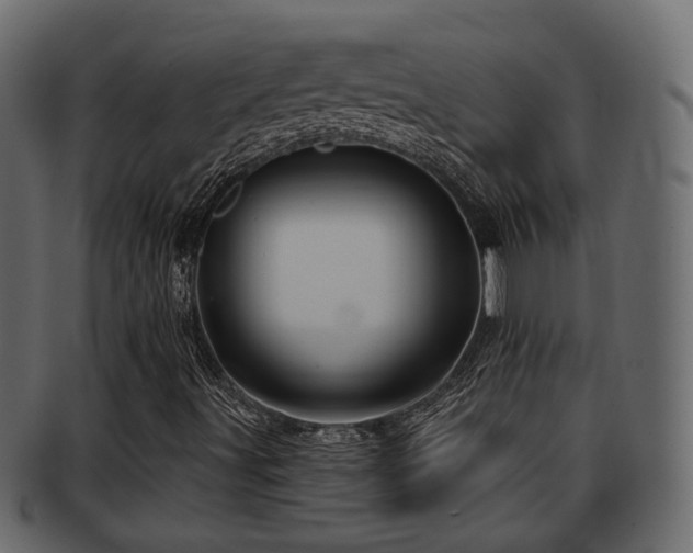 X0000093251491200709261709