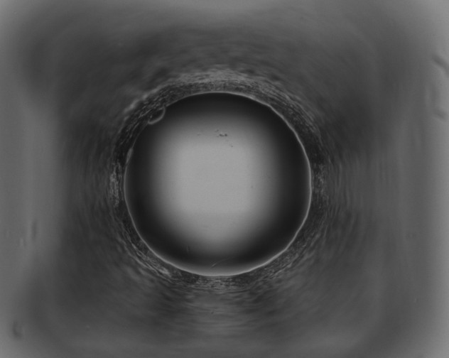 X0000093251493200709261709
