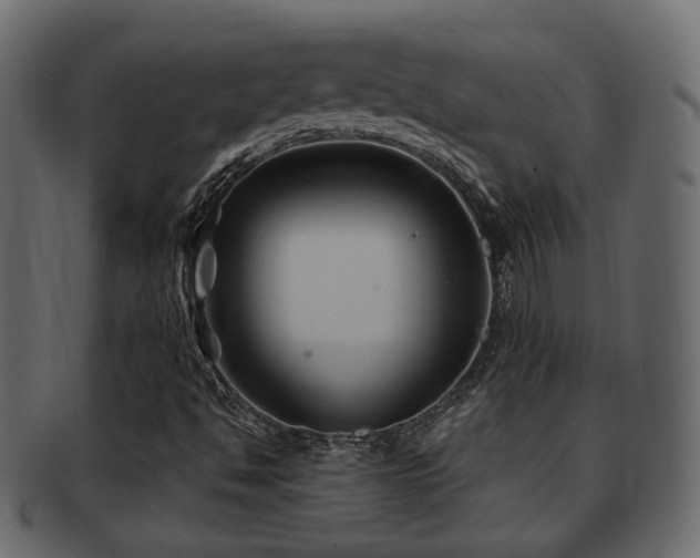 X0000093251494200709261709