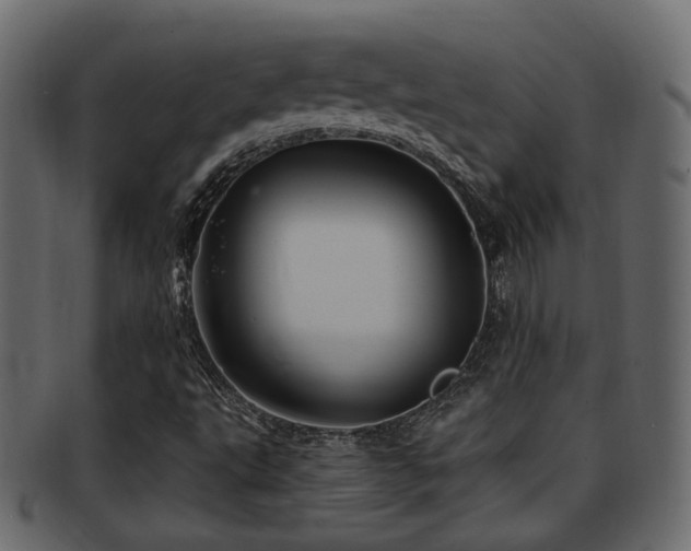 X0000093251495200709261709