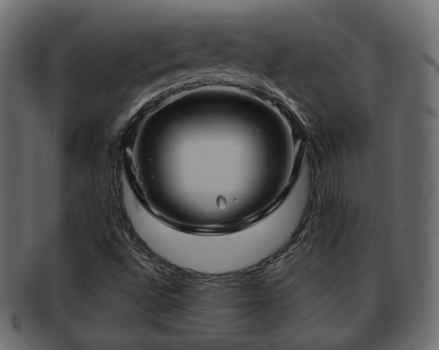 X0000093251496200709261709