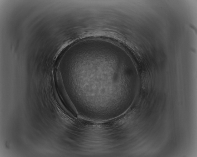 X0000093251497200709261709