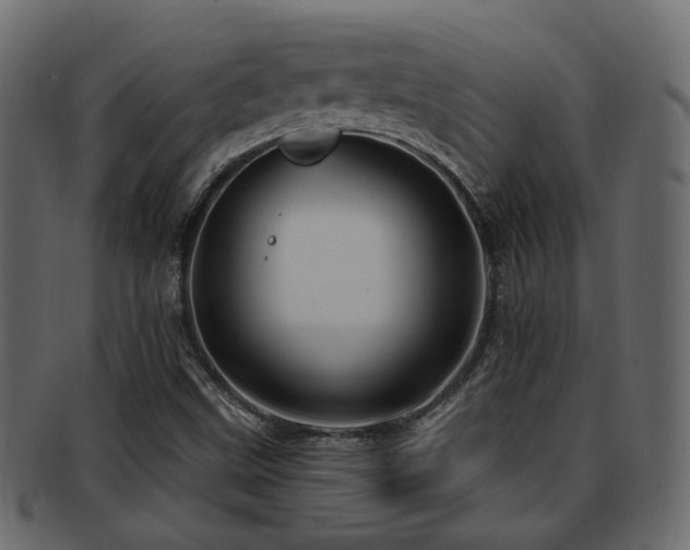 X0000093251499200709261709
