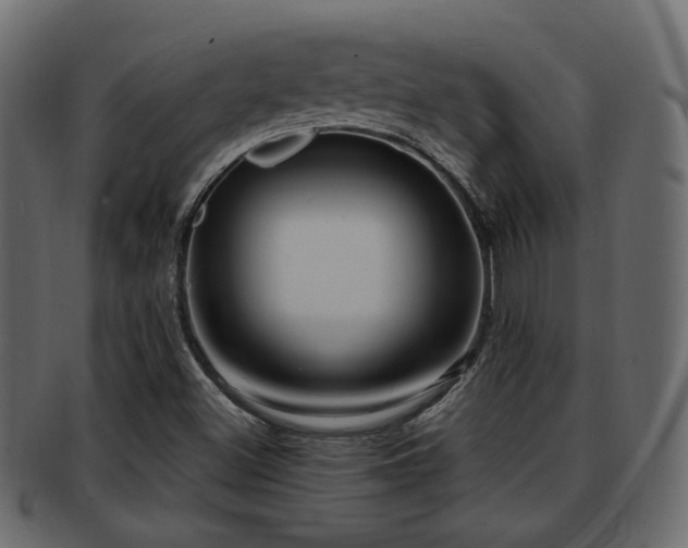 X0000093251500200709261709