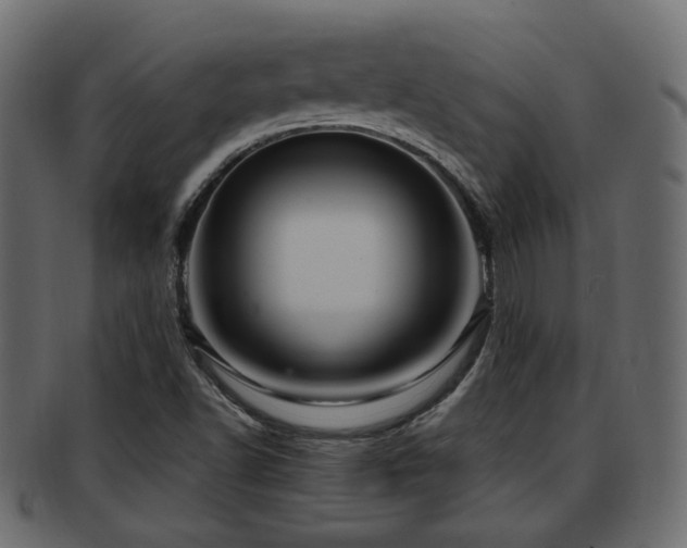 X0000093251502200709261709