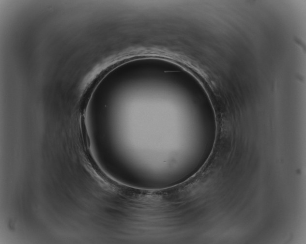 X0000093251503200709261709