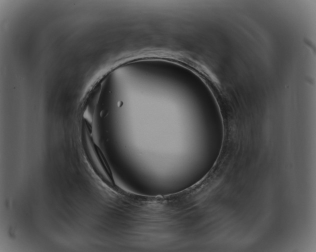 X0000093251504200709261709