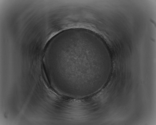 X0000093251505200709261709