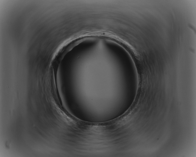 X0000093251506200709261709