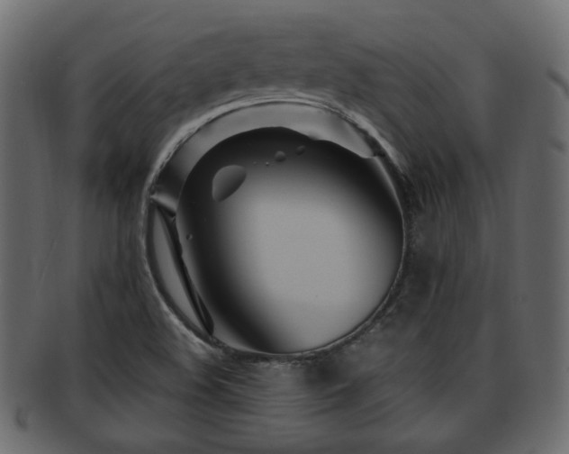 X0000093251508200709261709