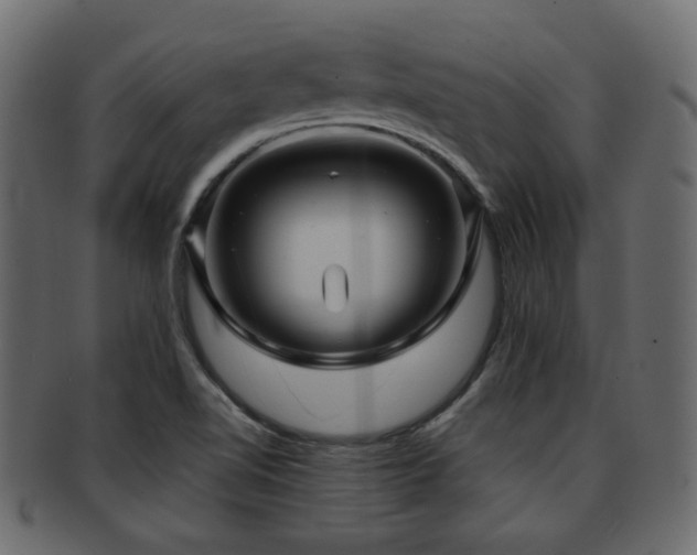 X0000093251510200709261709
