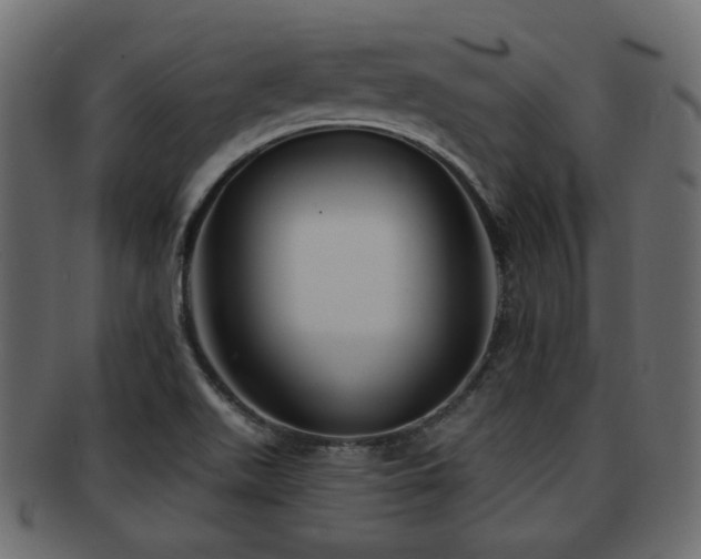 X0000093251511200709261709