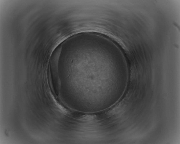 X0000093251513200709261709