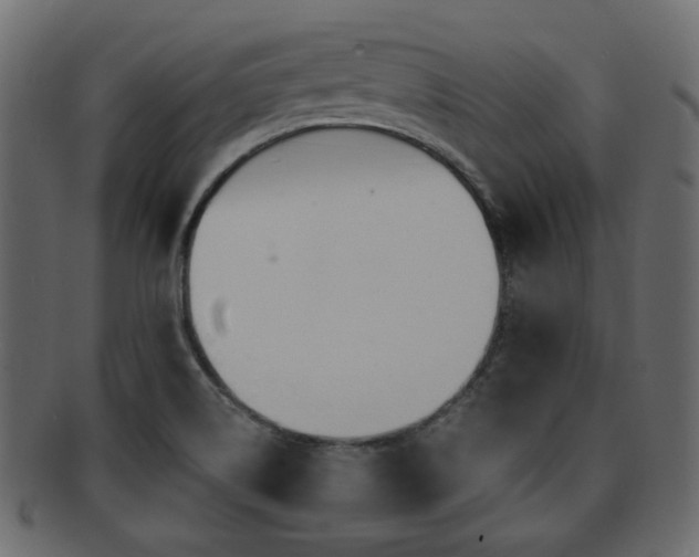 X0000093251514200709261709