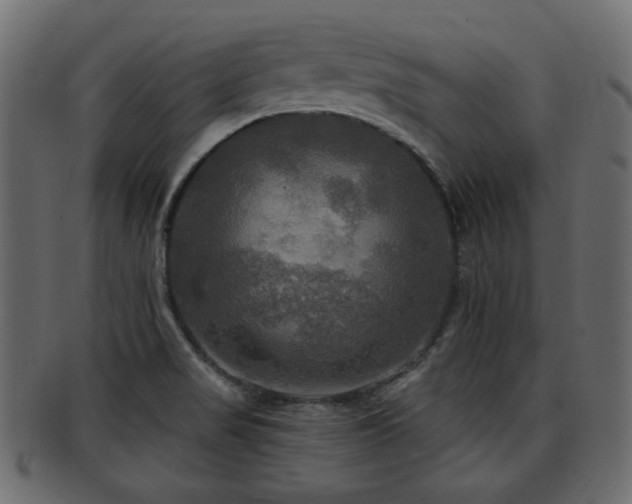 X0000093251517200709261709