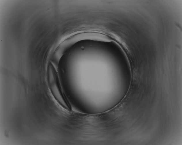 X0000093251520200709261709