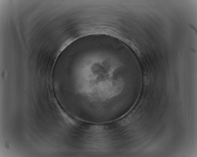 X0000093251521200709261709