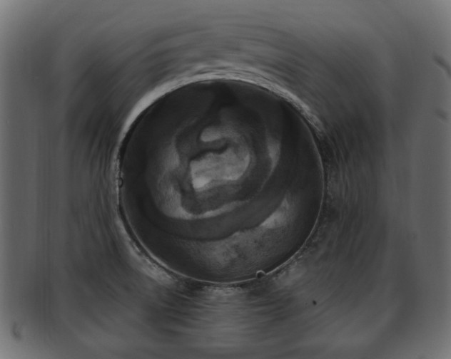 X0000093251522200709261709