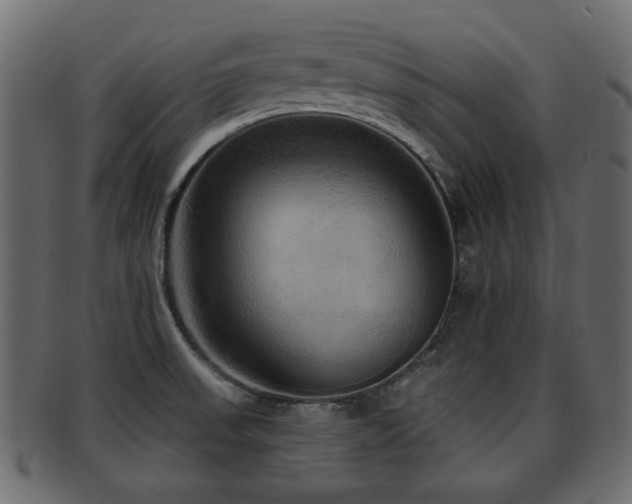 X0000093251523200709261709