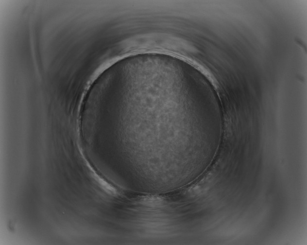 X0000093251525200709261709