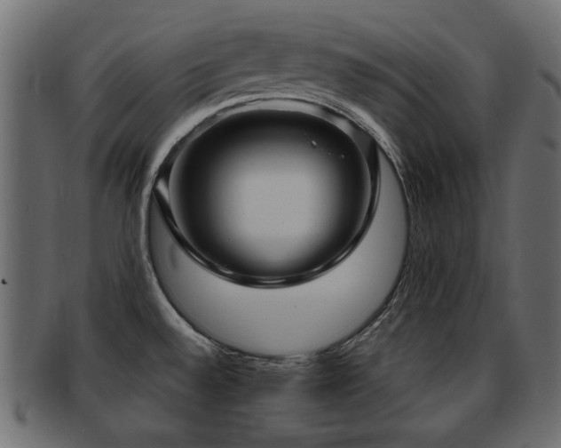 X0000093251528200709261709