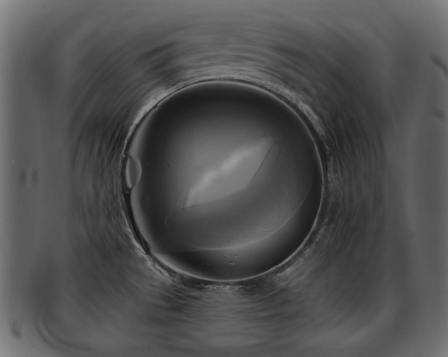 X0000093251529200709261709