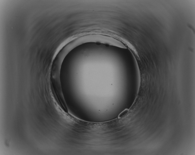 X0000093251530200709261709