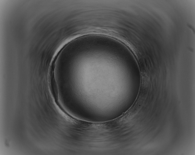 X0000093251531200709261709