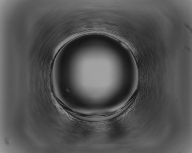 X0000093251534200709261709