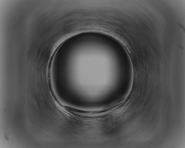 X0000093251535200709261709