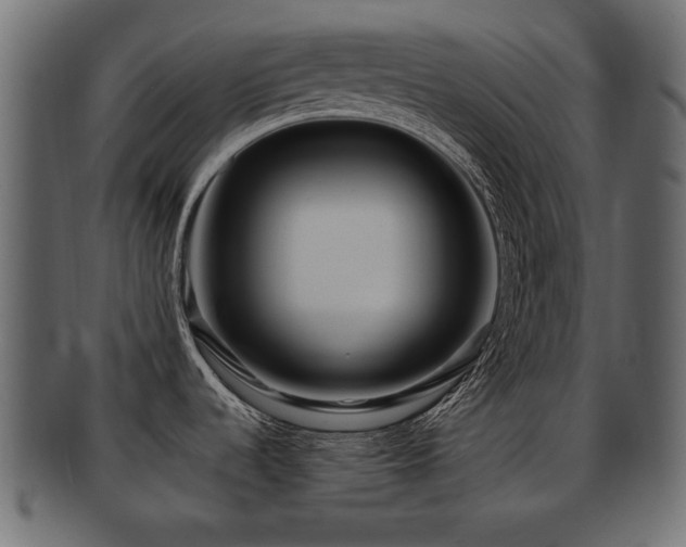 X0000093251536200709261709