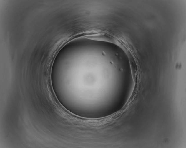 X0000093250001200710031614