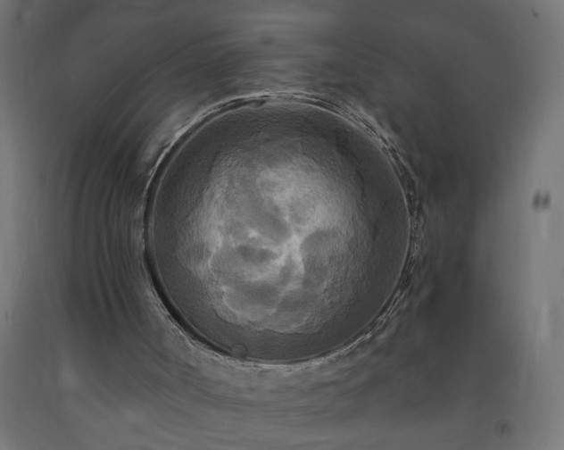 X0000093250002200710031614