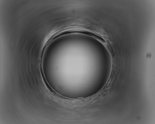 X0000093250003200710031614