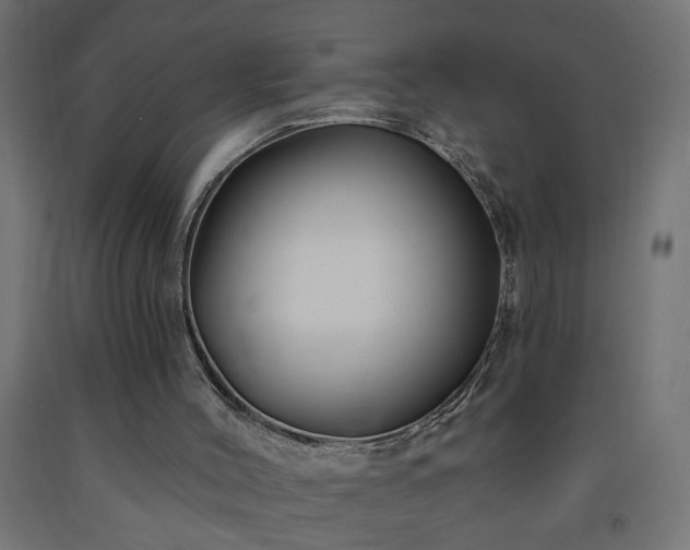 X0000093250004200710031614