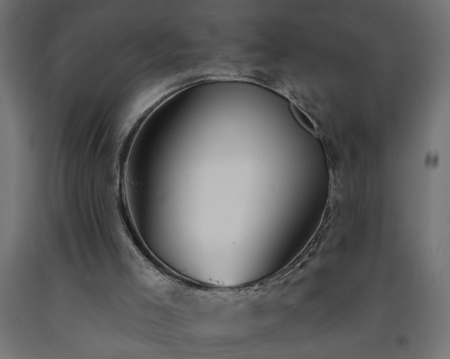 X0000093250005200710031614