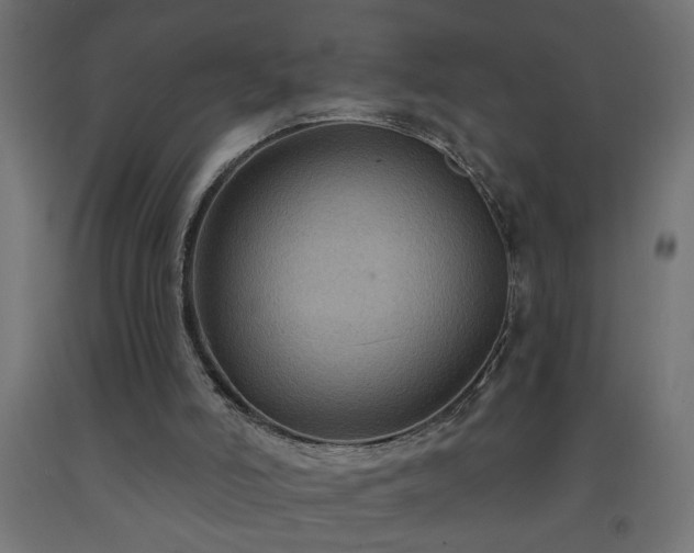 X0000093250006200710031614