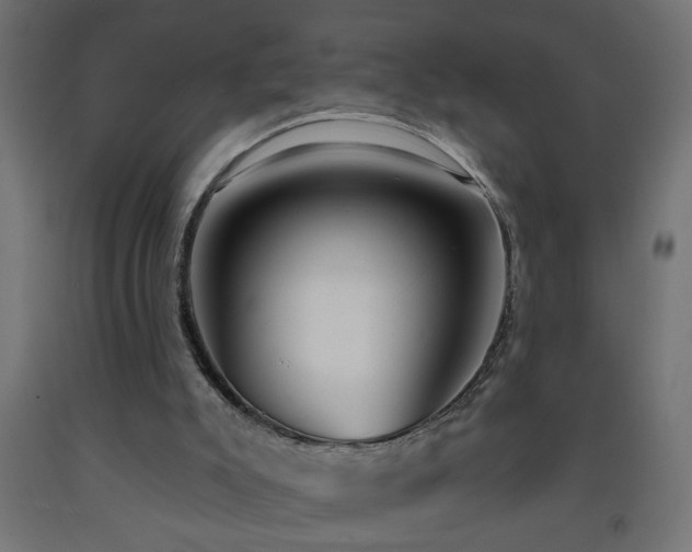 X0000093250007200710031614