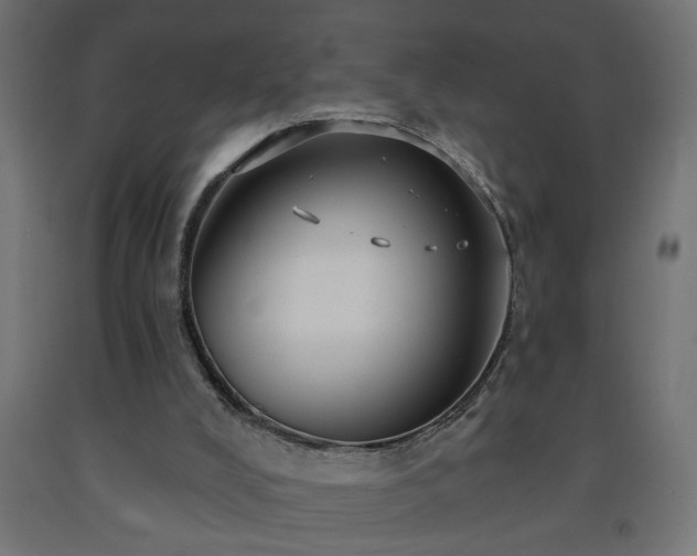 X0000093250008200710031614