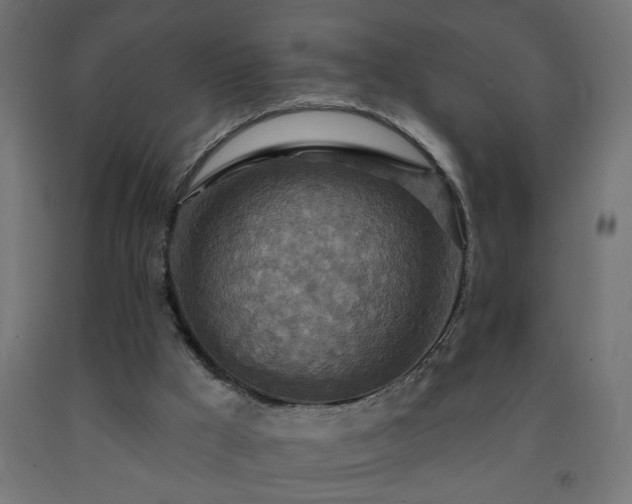 X0000093250009200710031614