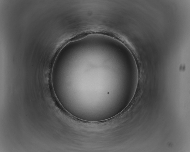 X0000093250010200710031613