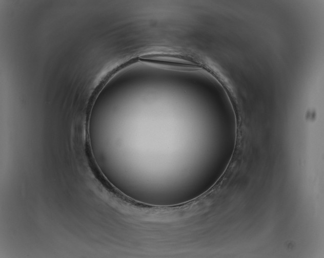 X0000093250011200710031613