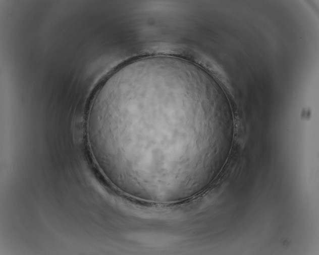 X0000093250012200710031613