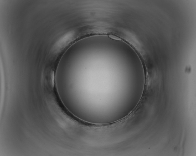 X0000093250013200710031613