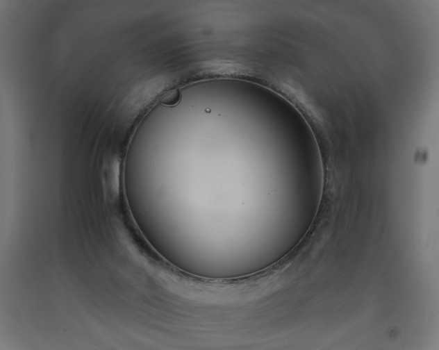 X0000093250014200710031613