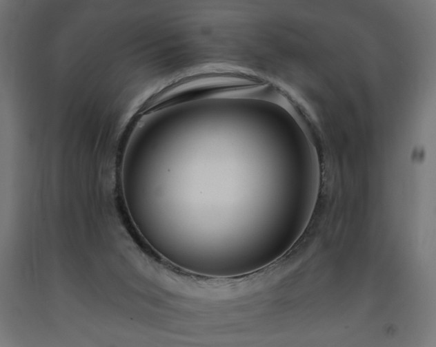 X0000093250015200710031613