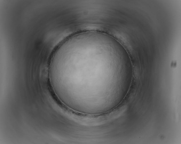 X0000093250016200710031613