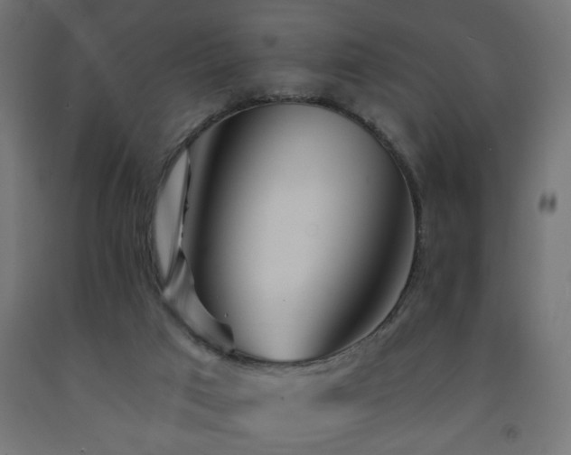 X0000093250017200710031613