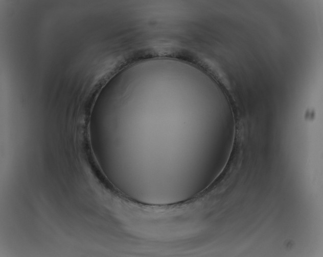 X0000093250018200710031613