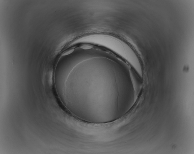 X0000093250019200710031613